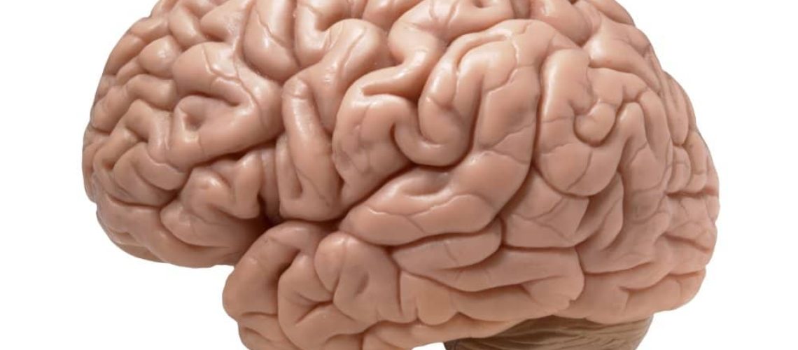 Optimized-Human-Brain